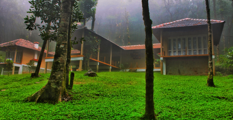 Forest Walks, Birdsong & Beyond: Exploring the Trails of Kapilash Sanctuary